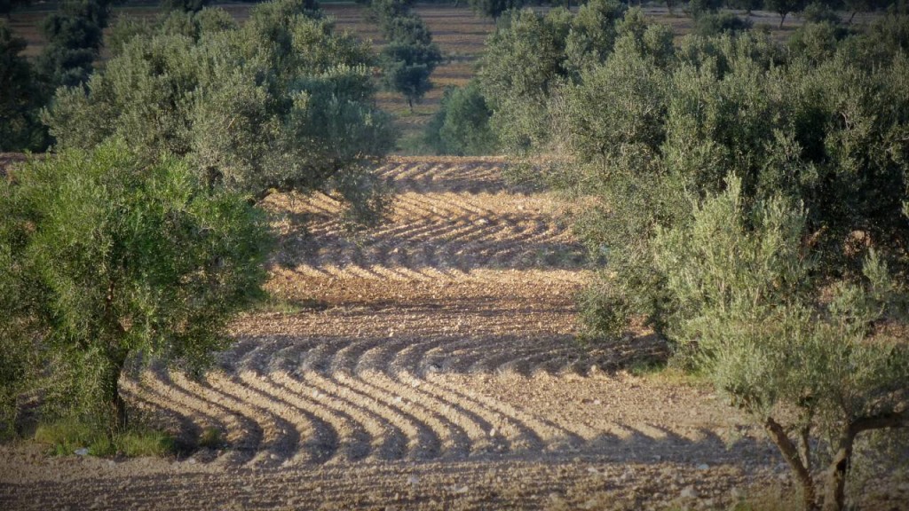 Domaine de Segèrmes