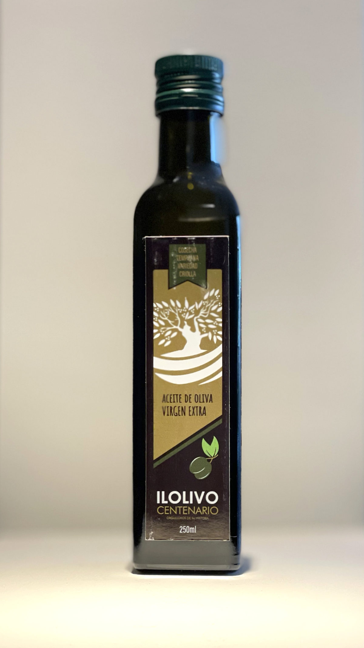 ONDHS 2021 :PERU: IL OLIVO