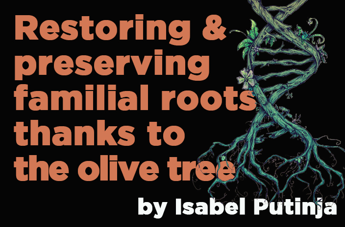 Article ROOTS by Isabel PUTINJA