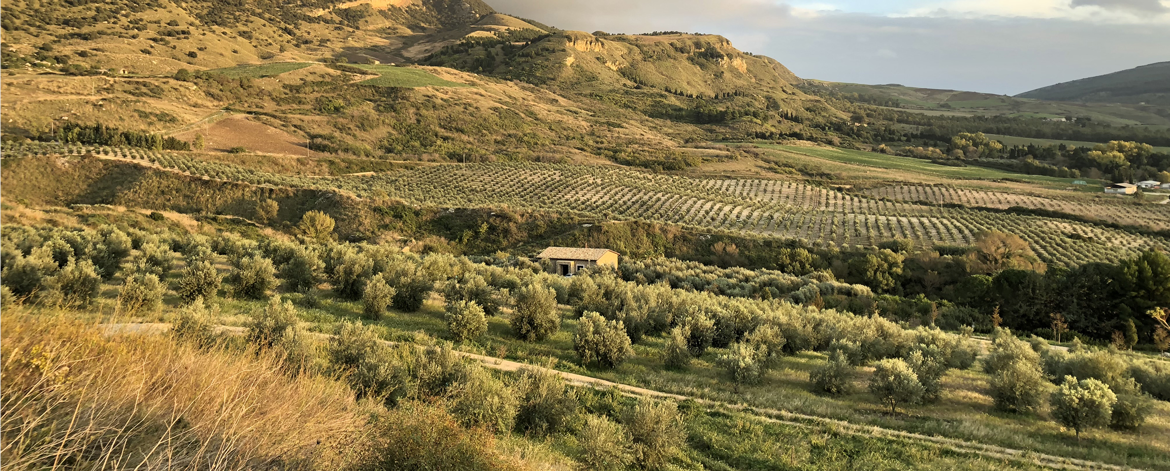 BONA FURTUNA in Sicily