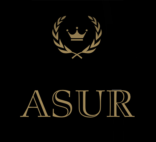 ASUR logo