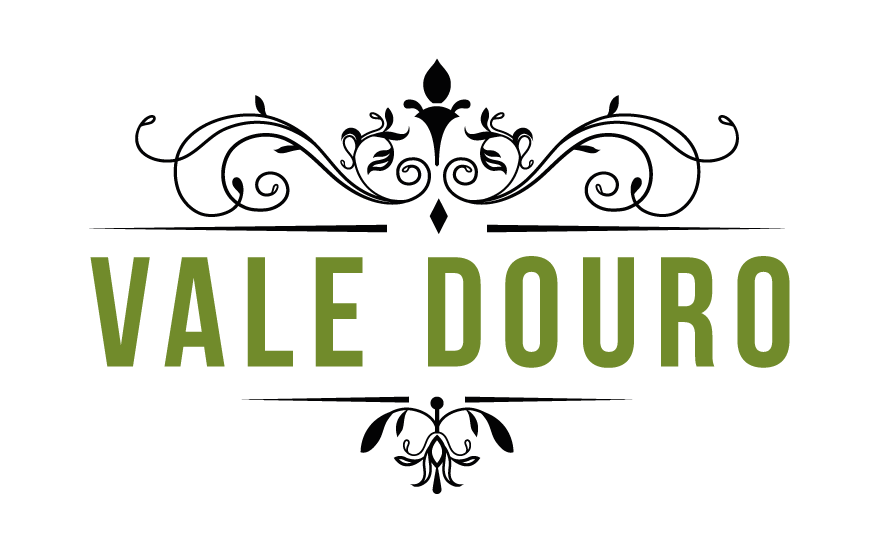 VALE DOURO logo