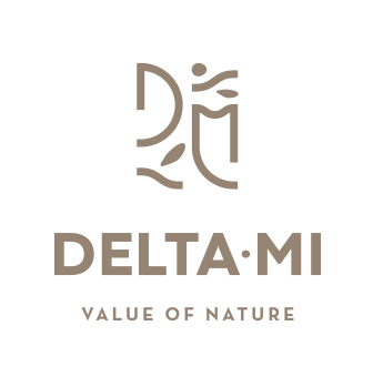 DELTAMI Logo