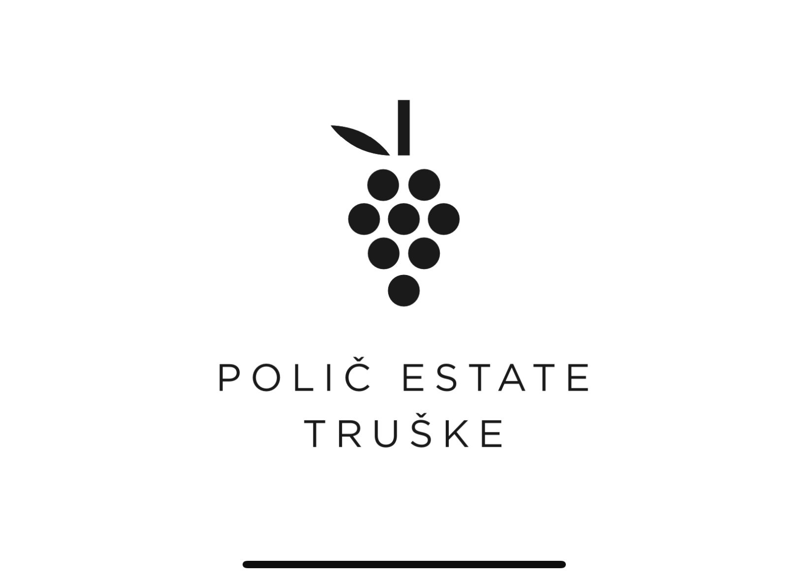 POLIC Logo