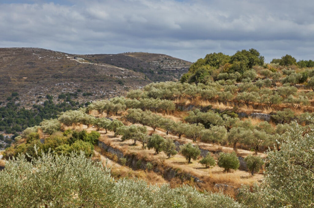 LEBANON