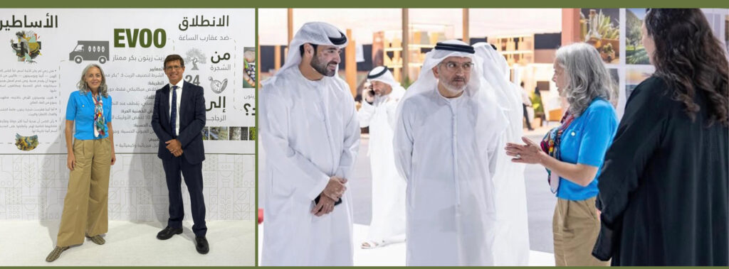 His Excellency Emilio Pin Godos Ambassador of Spain in UAE, 2025